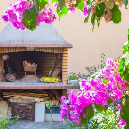 Garden & מאקרסקה