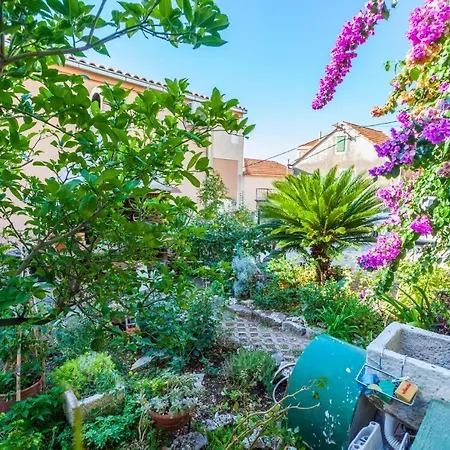 בית הארחה Garden & 3*